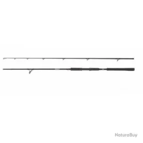 Canne spinning Abu Garcia Beast 2.44 m / Heavy - 2.59 m / Extra extra Heavy