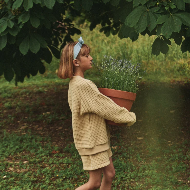 Sweatshirt Maca Biscotti